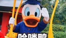 娱乐吃瓜鸭微博,揭秘娱乐圈幕后故事